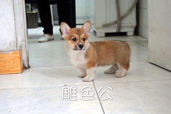 QQ图片20170616222745.jpg