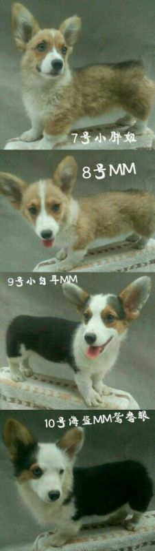 QQ图片20170617184134.jpg