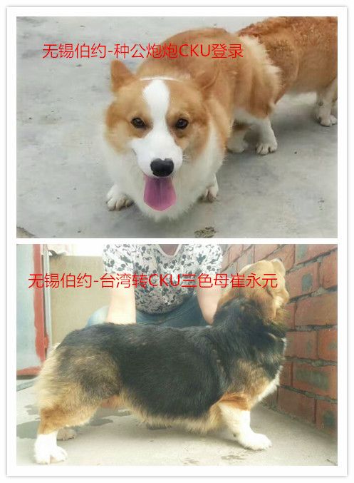 YY1008.jpg