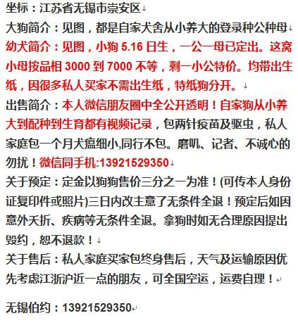 YY1009.jpg