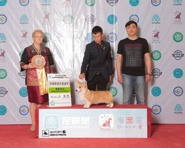 1315097232.jpg