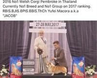 1111111.jpg