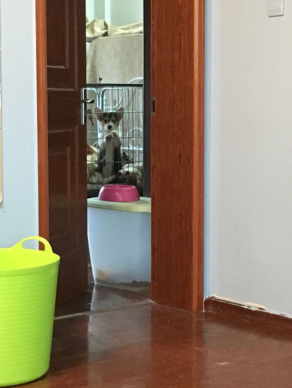 回头一看是小天。。。