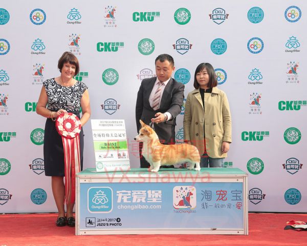IMG_3273_副本.jpg