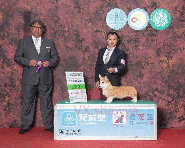 IMG_3276_副本.jpg