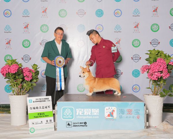 JS071640－2000.jpg