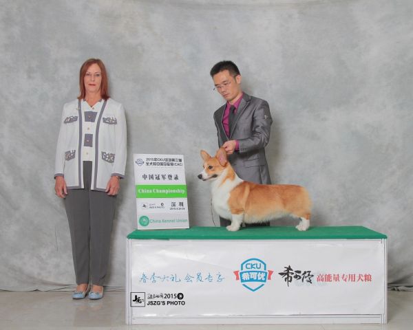 微信图片_20170620201550.jpg