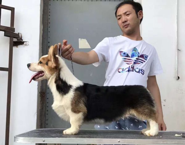 微信图片_20170622115521.jpg