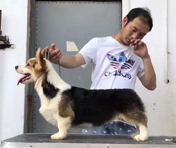 微信图片_20170622115525.jpg