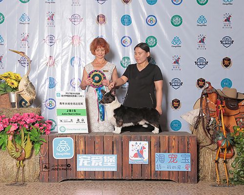 2017-6-18赏励照-jbis1 - 副本.jpg