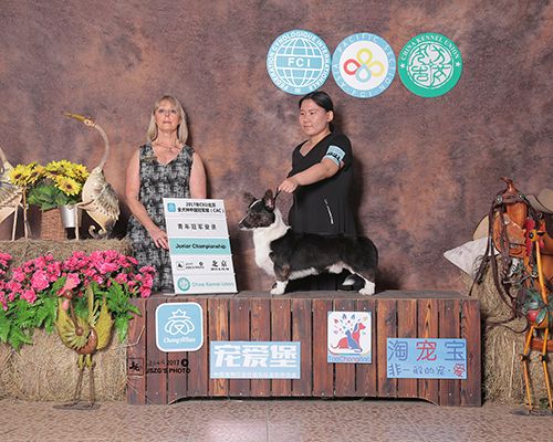 2017-6-18赏励照-青年登录 - 副本.jpg