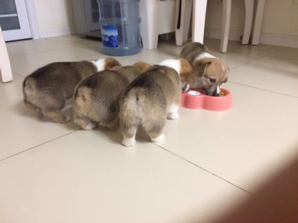 微信图片_20170611220107.jpg