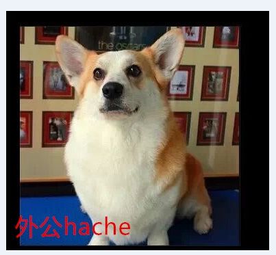 外公hache