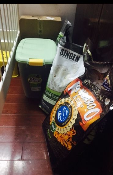 日常奶糕和狗粮