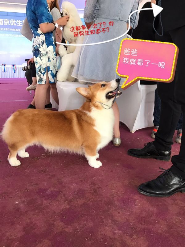image.jpeg