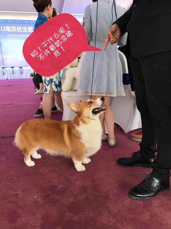 image.jpeg