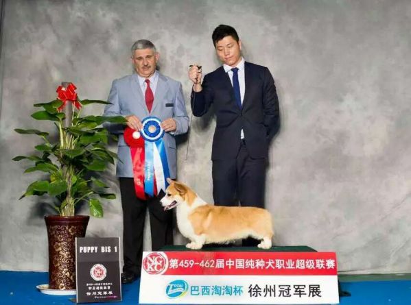 大刀徐州比赛1.jpg