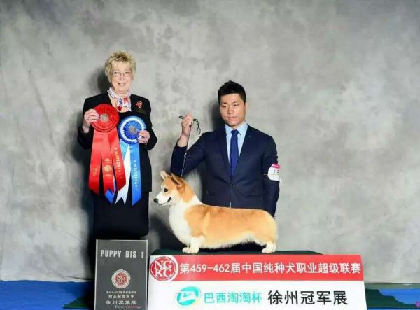 大刀徐州比赛.jpg