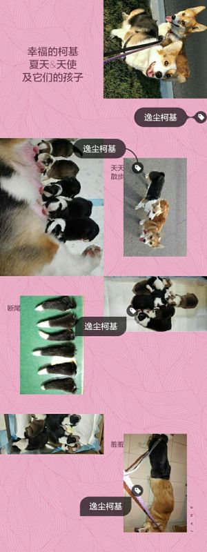 渊源.JPG