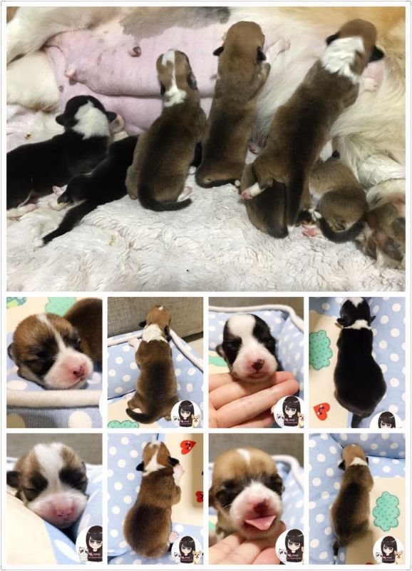 QQ图片20170501210114.jpg