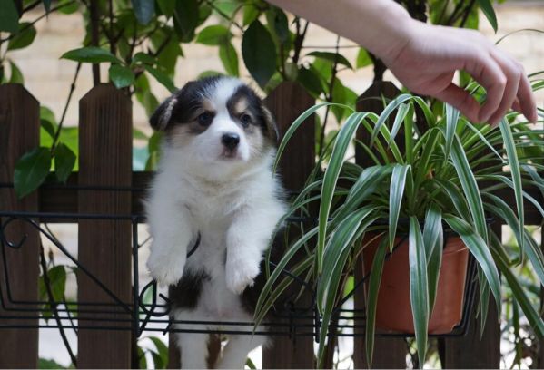QQ图片20170606123849.jpg